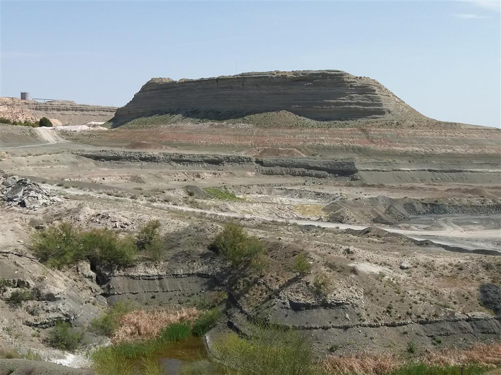 Yacimiento paleontológico del Mioceno de Villaluenga