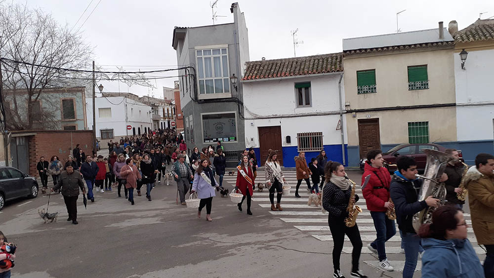 San Antón, desfile