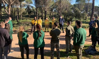 Villarubia en formación para estudiantes ciclos educativos medioambiente y gestión forestal