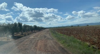 Camino Navalucillos, Torrecilla y Retamoso - 230421