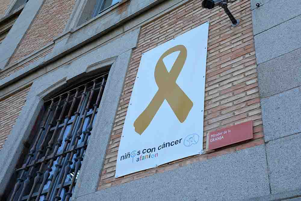 Afanion lazo dorado fachada Diputación (3)