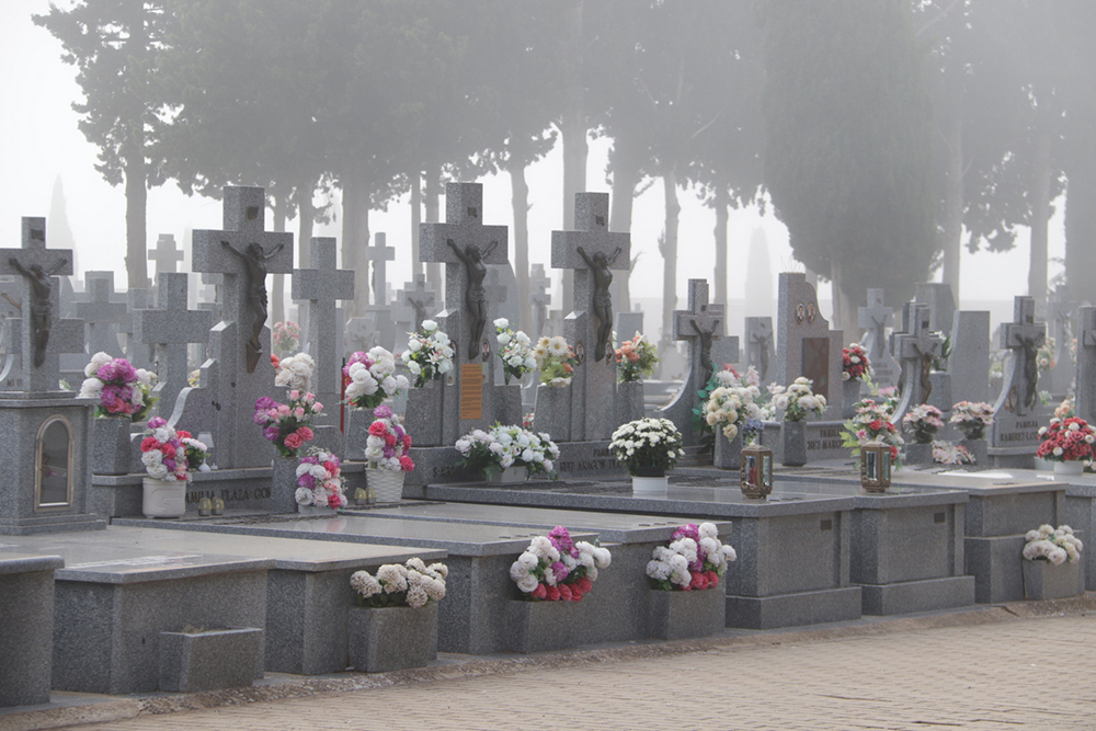 Cementerio Manzanares (1