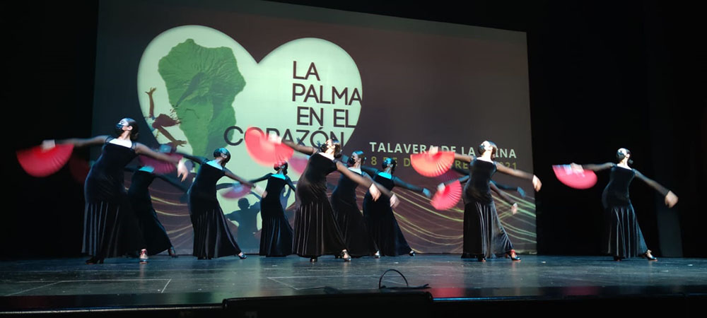 Fotografía Gala Solidaria La Palma 3