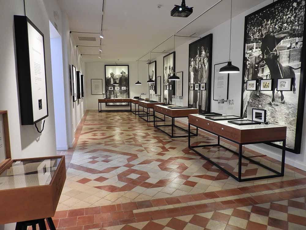 Museo Sanchez Mejias 25-1-2017 (28)
