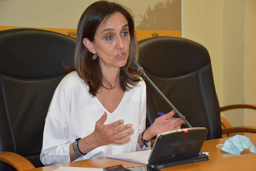 Flora Bellón demandas planes empleo