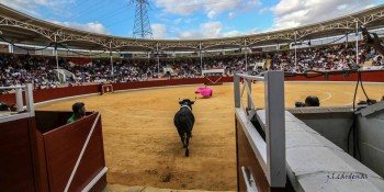 XX Alfarero de Oro 2019 Villaseca de la Sagra_Fotos José Luis Cárdenas (36)