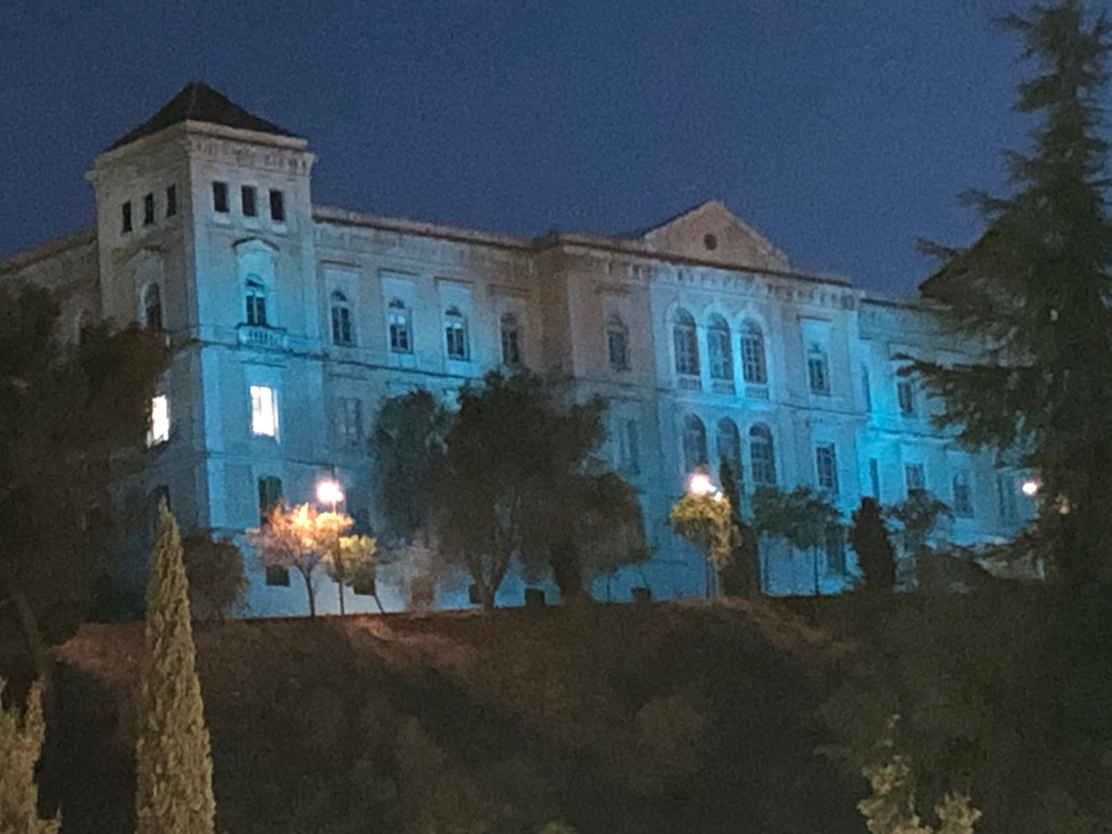 Diputación azul