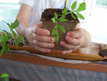 Niños manipulando plantas (Archivo)