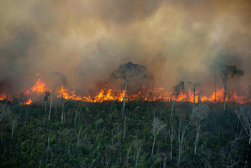 Incendio en el Amazonas 1