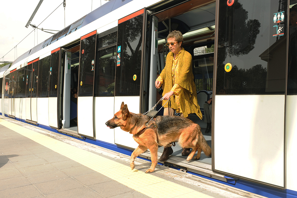 Foto Perro guía saliendo del metro