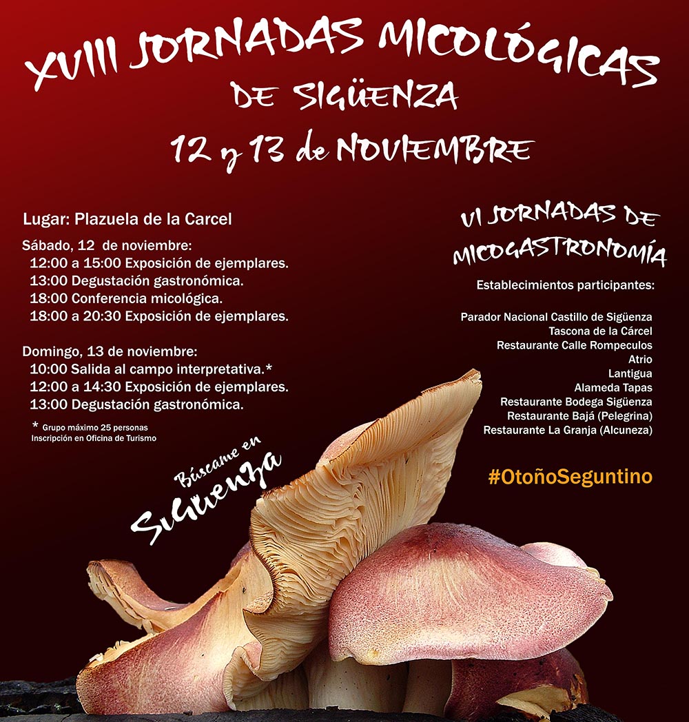 XVIII Jornadas micologicas definitivo